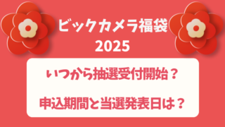 【ビックカメラ福袋2025】いつから抽選受付開始？申込期間と当選発表日は？