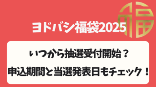 【ヨドバシ福袋2025】いつまで抽選申し込み可能？受付期間と当選発表日もチェック！