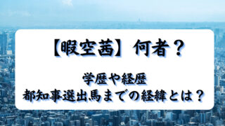 【暇空茜】何者？学歴や経歴、都知事選出馬までの経緯とは？