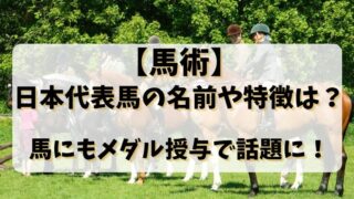 【馬術】日本代表馬の名前や特徴は？馬にもメダル授与で話題に！