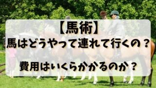 【馬術】馬はどうやって連れて行くの？費用はいくらかかるのか？