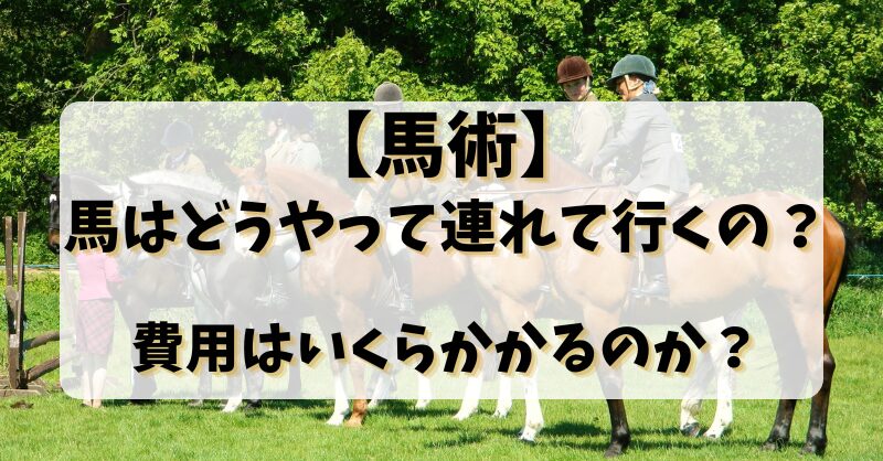 【馬術】馬はどうやって連れて行くの？費用はいくらかかるのか？