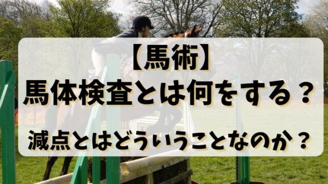 【馬術】馬体検査とは何をする？減点とはどういうことなのか？