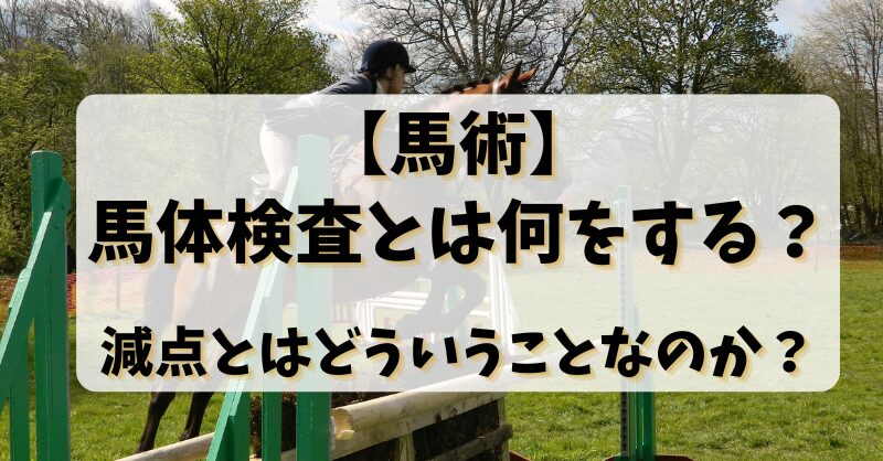 【馬術】馬体検査とは何をする？減点とはどういうことなのか？