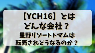 【YCH16】とはどんな会社？星野リゾートトマムは転売されどうなるのか？