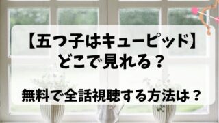 どこで見れる？無料で全話見る方法は？