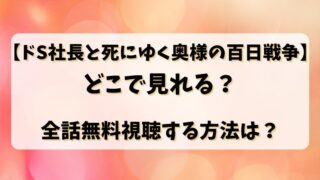 【ドS社長と死にゆく奥様の百日戦争】どこで見れる？全話無料視聴する方法は？