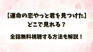 【運命の恋やっと君を見つけた】どこで見れる？全話無料視聴する方法も解説！