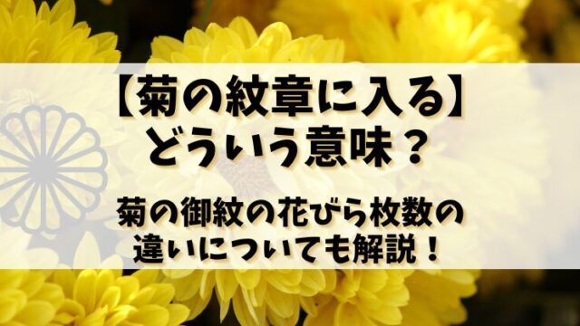 【菊の紋章に入る】どういう意味？菊の御紋の花びら枚数の違いについても解説！