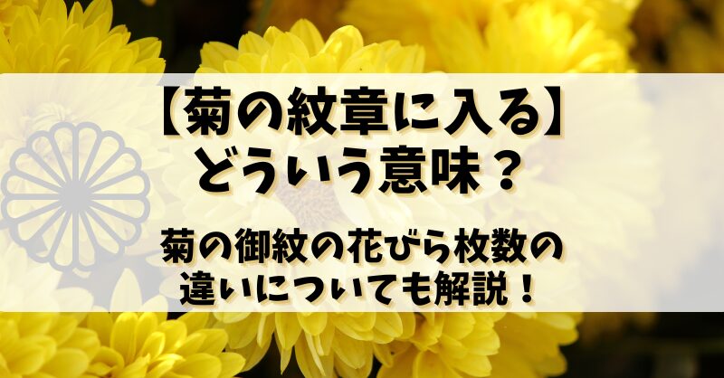 【菊の紋章に入る】どういう意味？菊の御紋の花びら枚数の違いについても解説！